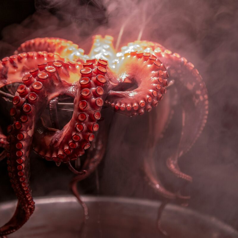 Jornada del pulpo en Cantabria