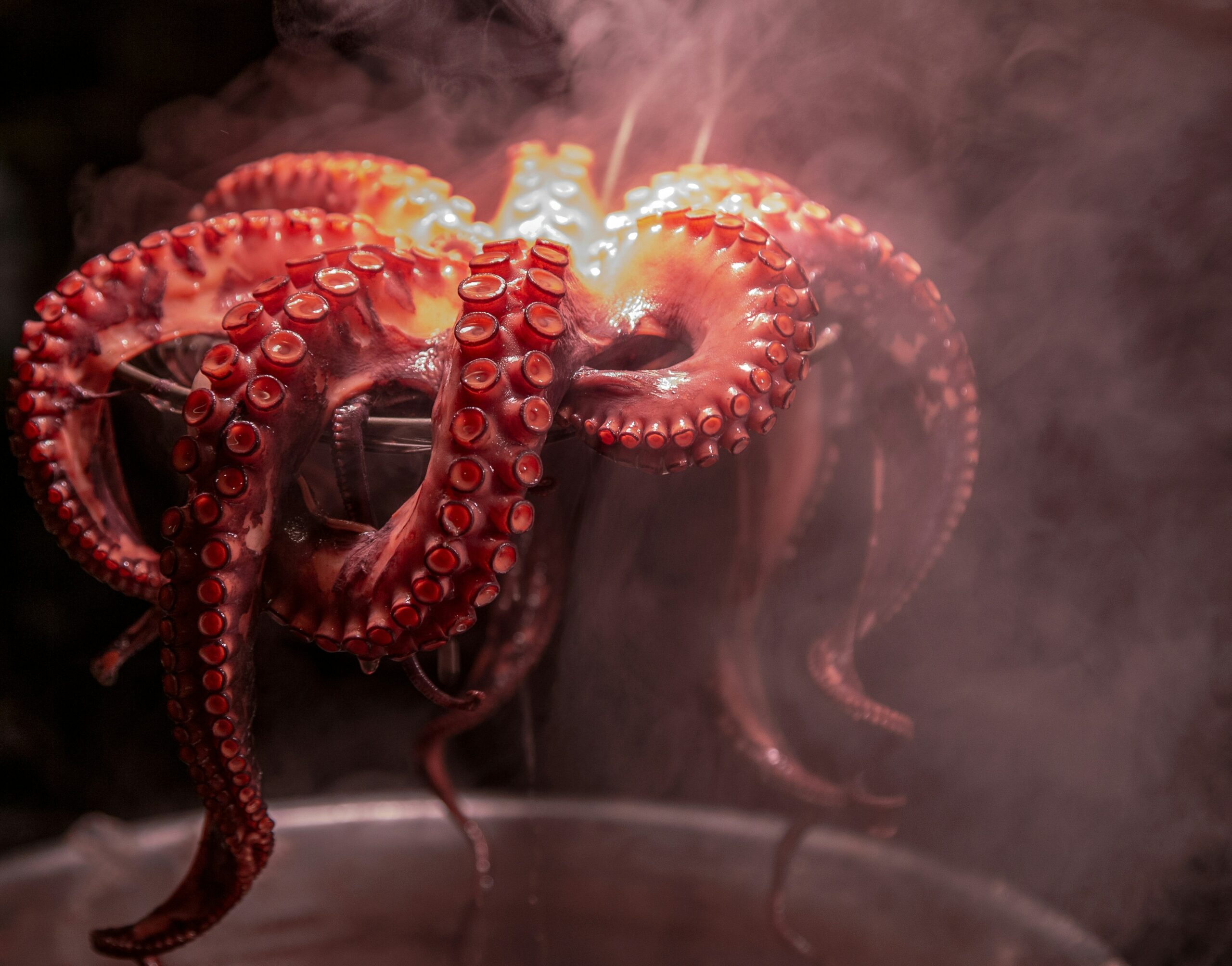 Jornadas del pulpo en Cantabria